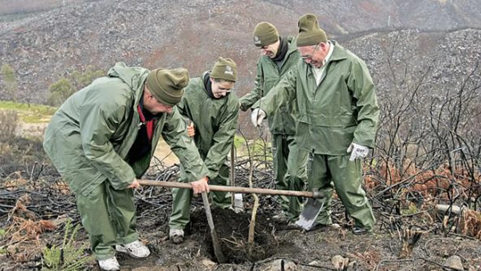 Ni un árbol de los 45 millones prometidos por el Gobierno