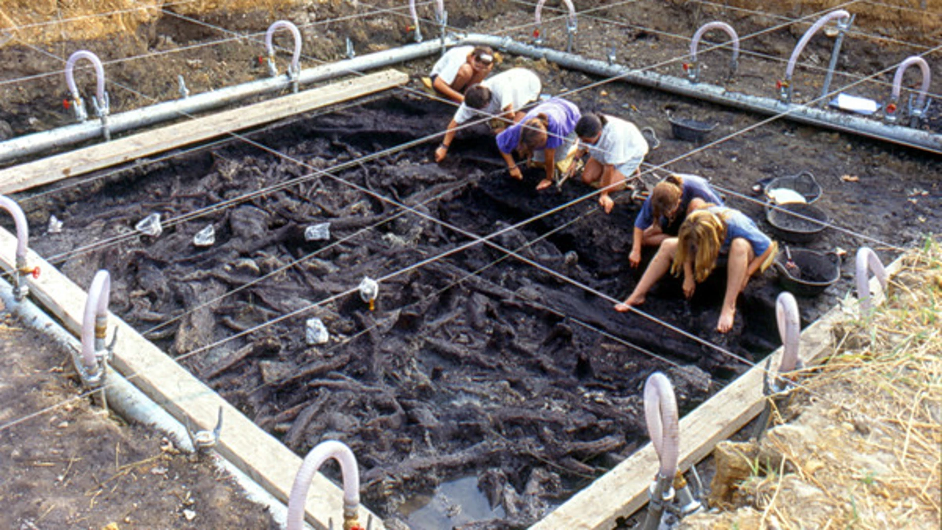 Vista general de la excavación del sector B de La Draga, donde han aparecido los hongos yesqueros