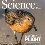 Portada de la revista Science con la información sobre este ave