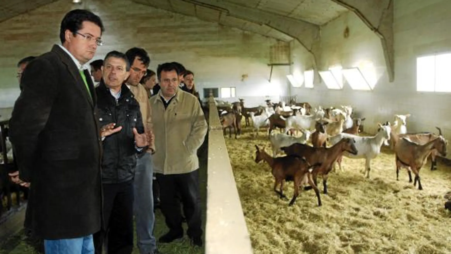 López escucha al procurador socialista Manuel Fuentes durante su visita a una explotación ganadera en Tábara