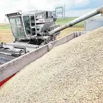  Los precios de los cereales han subido hasta un 50% este año