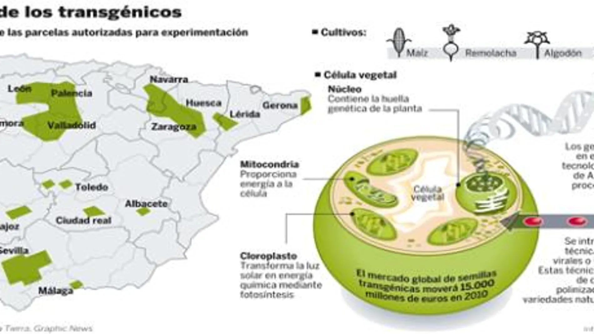 PULSE EN «DOCUMENTO» PARA DESPLEGAR EL GRÁFICO