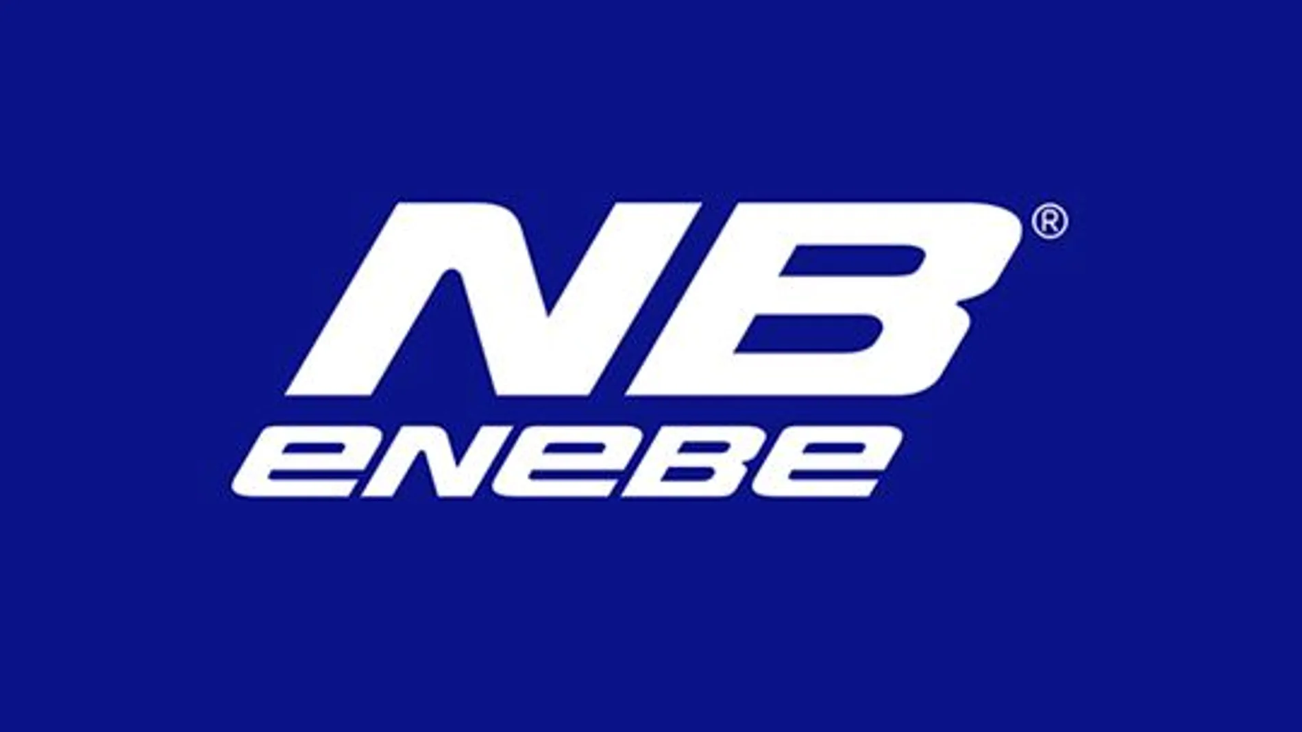 Enebe logo