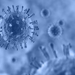 Imagen a nivel microscópico del virus H1N1