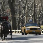 Un taxi por Central Park, junto a un carruaje de caballos