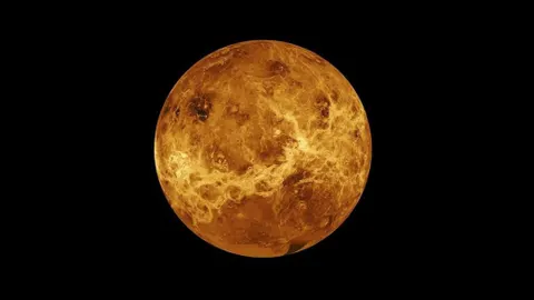 Una espectacular vista de Venus
