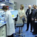 El CNIO estudiará la biología celular del cáncer con apoyo del BBVA