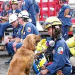  Adiós con honores para Bretagne, la última perra de rescate del 11-S