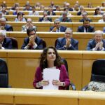 La ministra de Hacienda, María Jesús Montero, en su intervención en el Senado. EFE/Juan Carlos Hidalgo