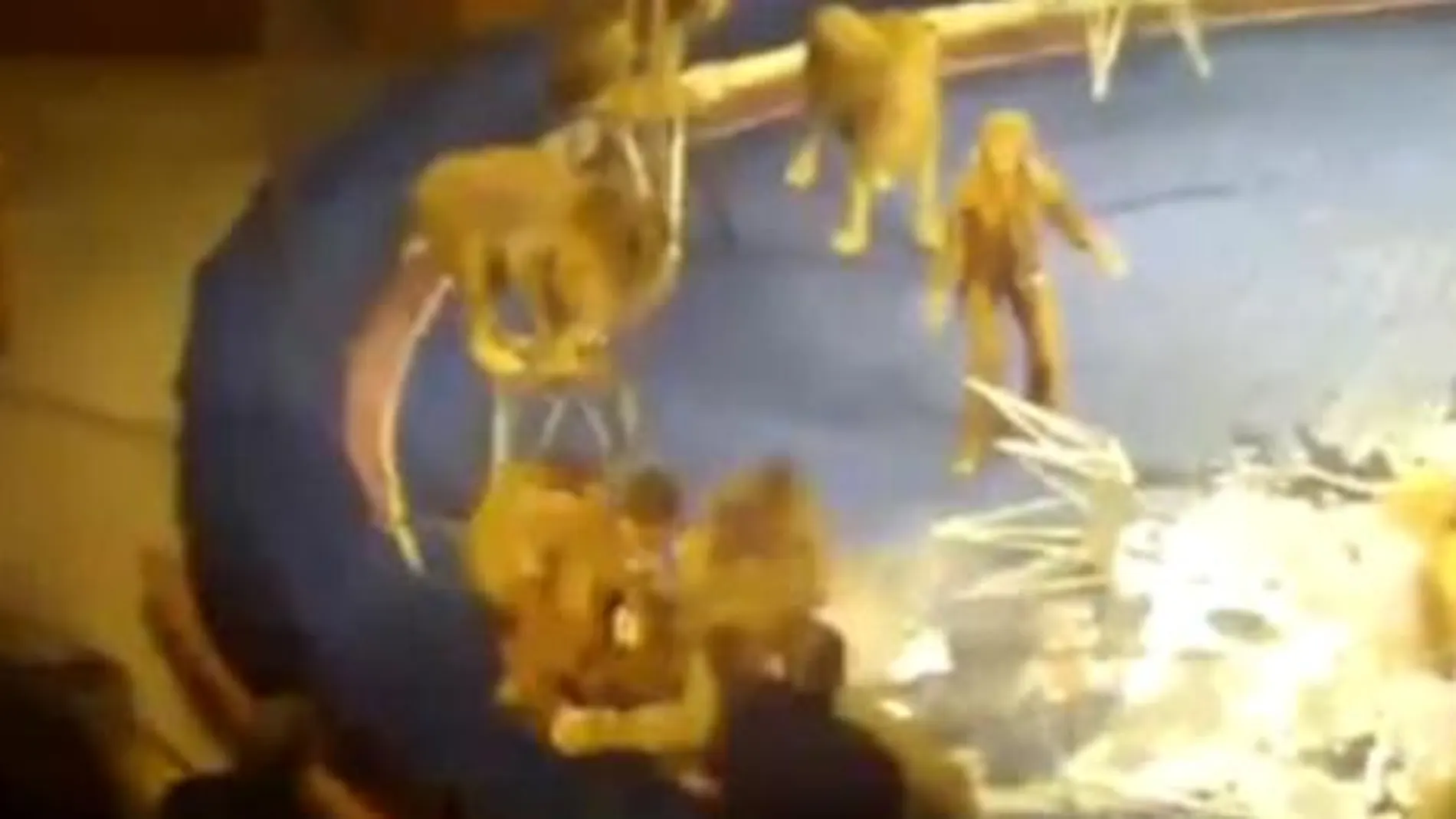Pánico en el circo: dos leones atacan a su entrenador en Ucrania