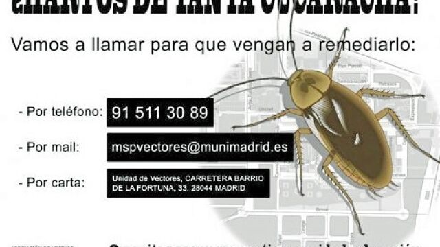Cartel de protesta por la invasión de los molestos insectos que los vecinos han colocado por el barrio