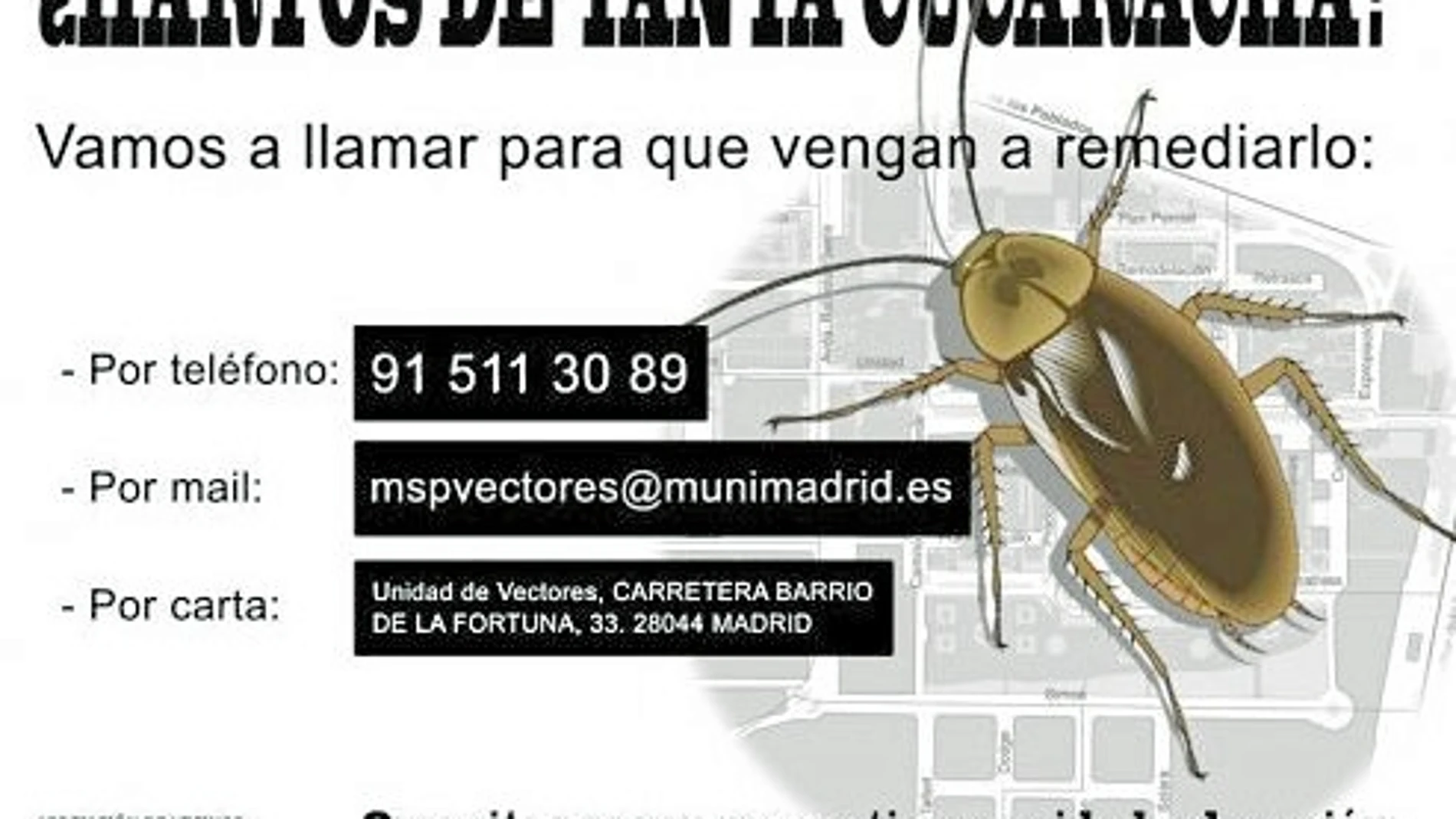 Cartel de protesta por la invasión de los molestos insectos que los vecinos han colocado por el barrio