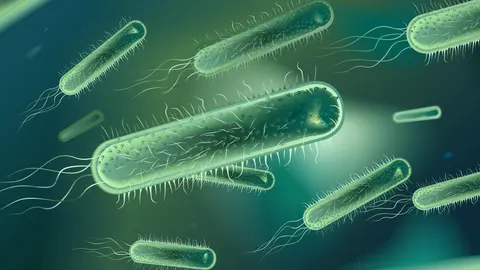Últimas armas para la destrucción de superbacterias