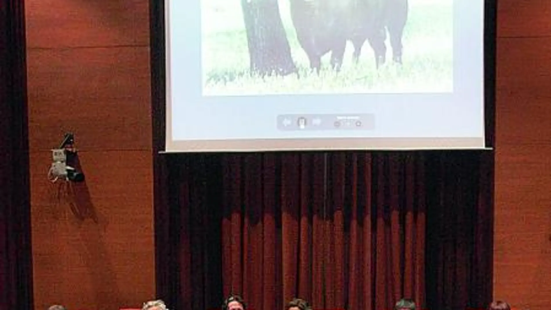 El Parlament votará esta semana sobre las corridas de toros