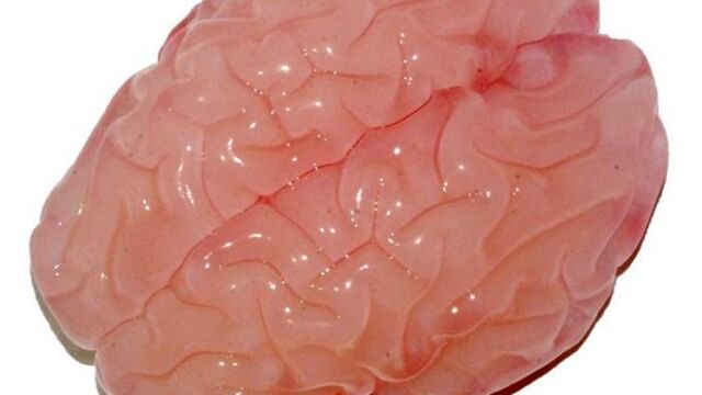 Fotografía facilitada por la Escuela de la Ingeniería y Ciencias Aplicadas de la Universidad de Harvard (Harvard SEAS ) de una réplica en 3D del cerebro humano con todos sus pliegues y cavidades