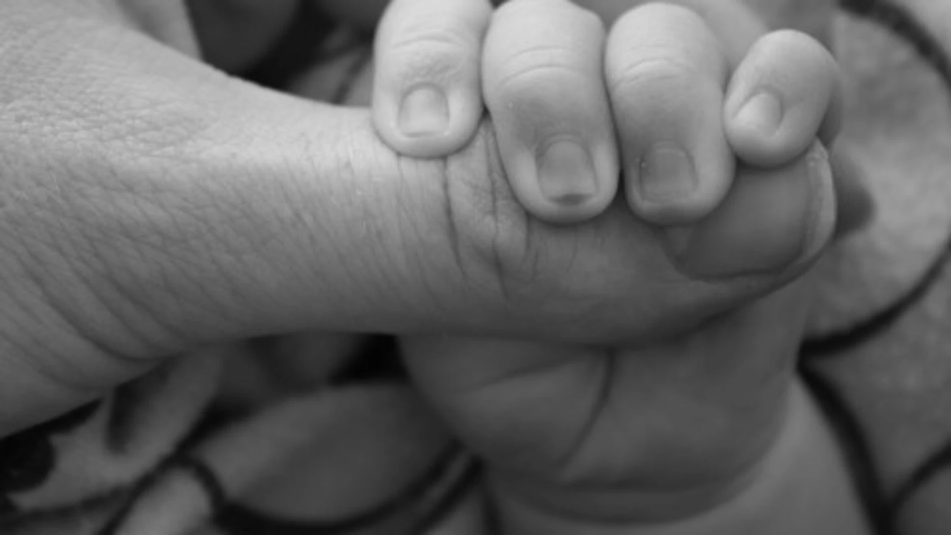 Donar óvulos tras ser madre: un nuevo estudio despeja una duda recurrente