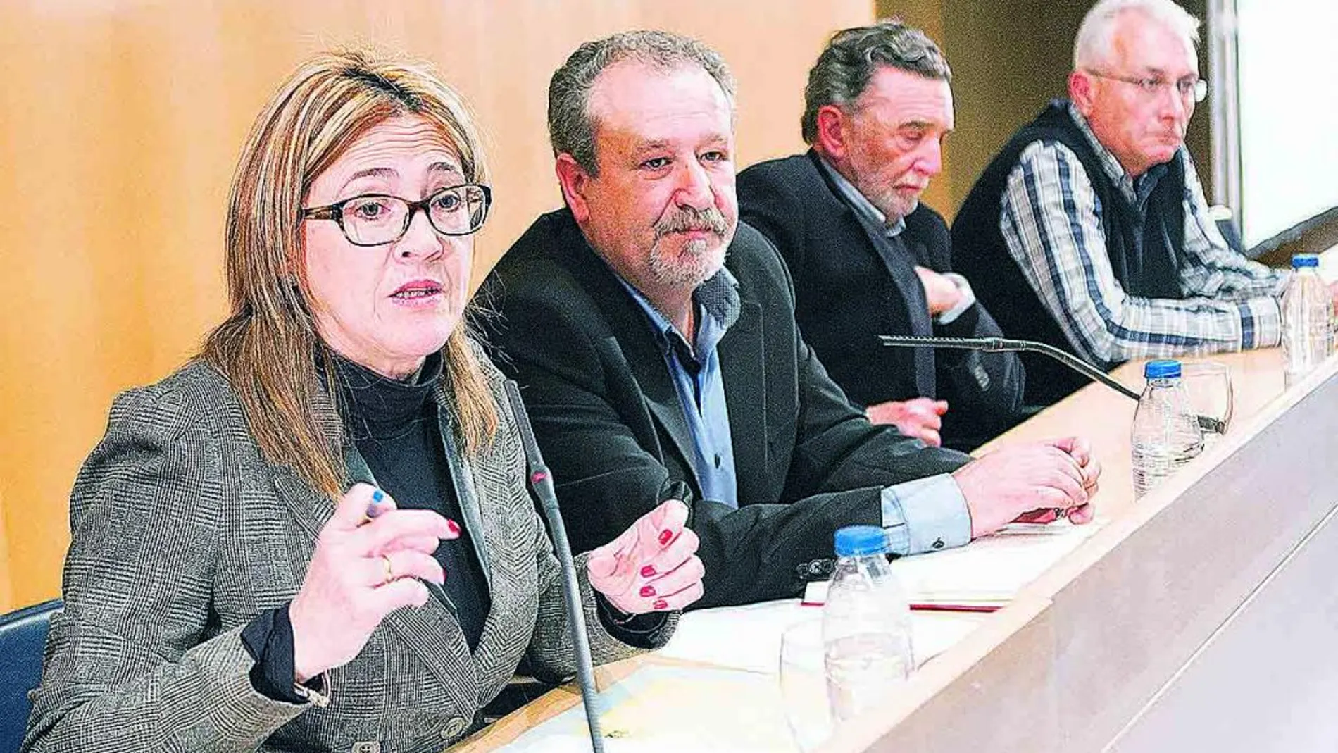 Mayte Martínez preside la reunión junto a Raúl Rodríguez y Miguel Alejo, entre otros