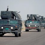 Un convoy de fuerzas del Ejército iraquí se dirigen hacia Faluya