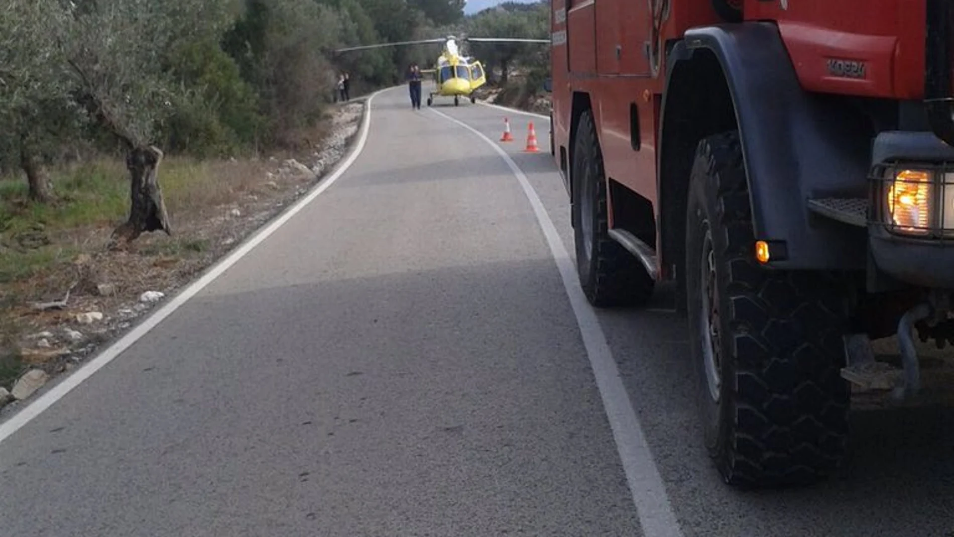 Los bomberos y los servicios de emergencia, en el lugar del accidente