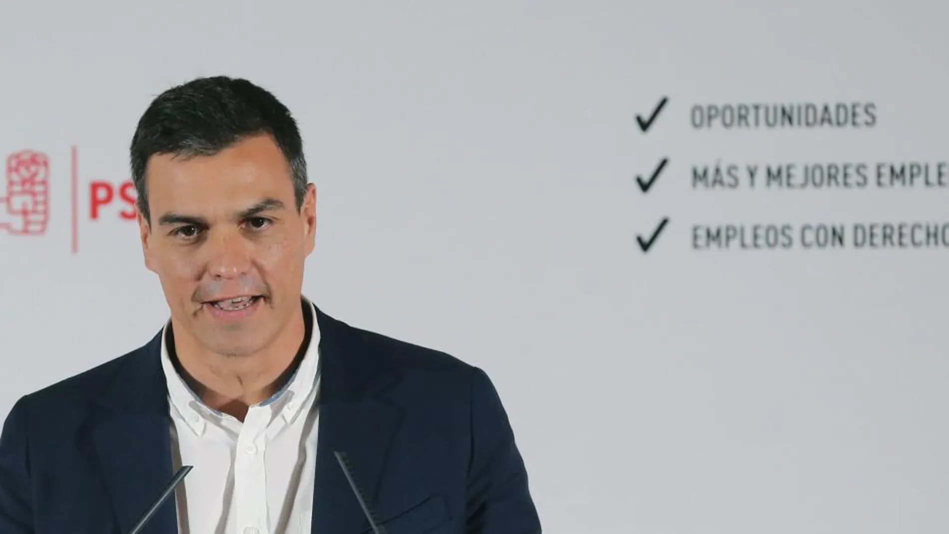 El secretario general del PSOE, Pedro Sánchez. EFE/Ballesteros