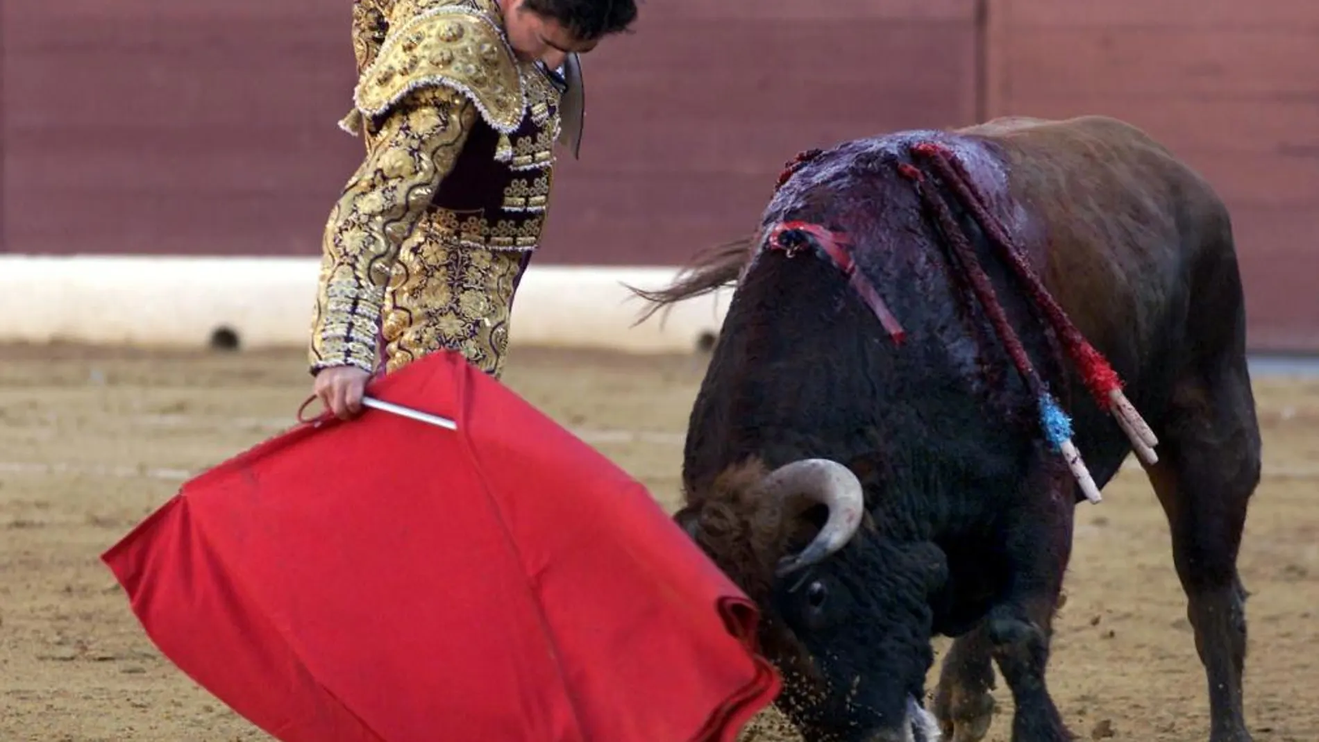 El Fandi, en la plaza de toros de Murcia