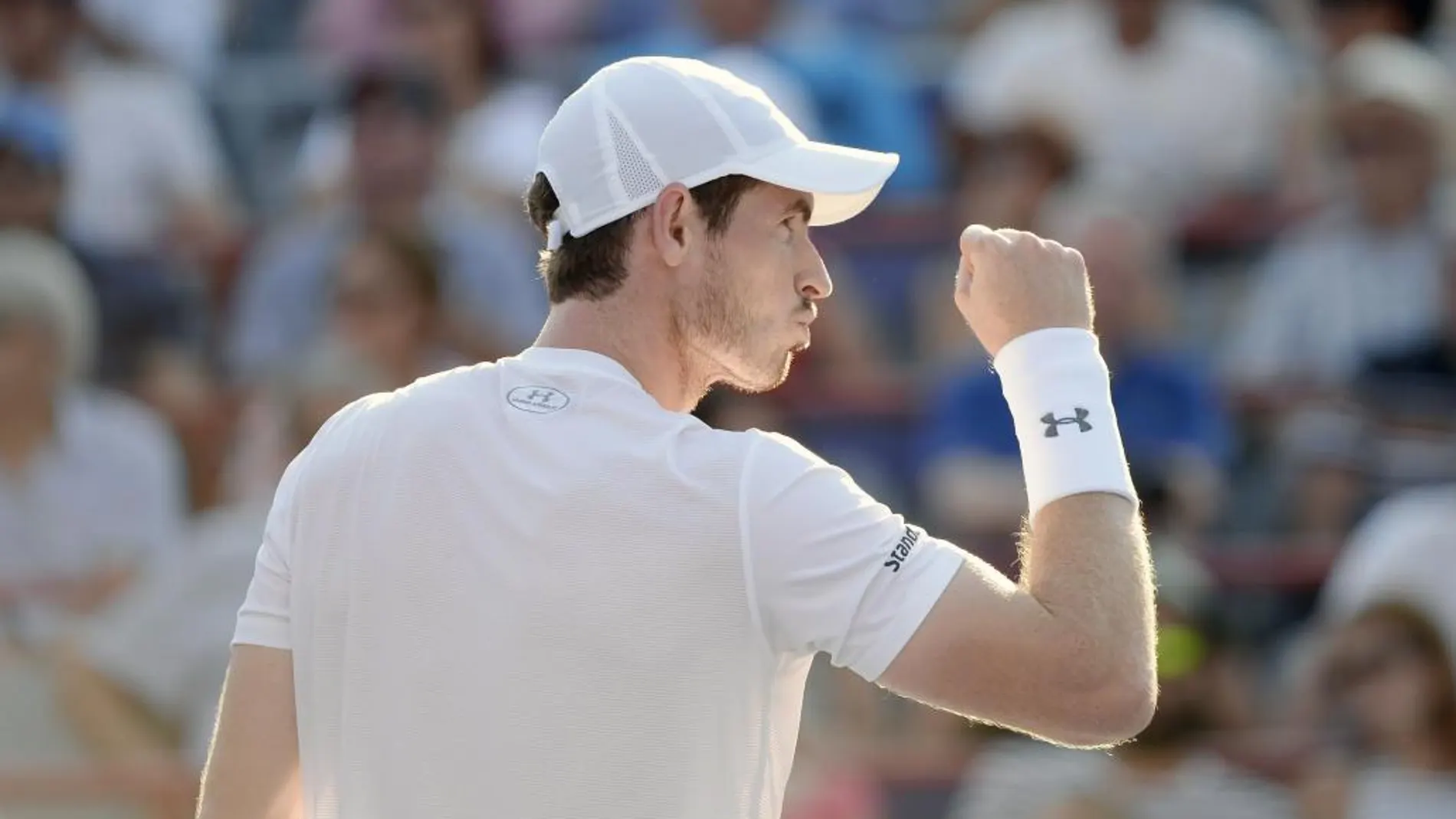 Andy Murray, celebra un tanto durante el partido