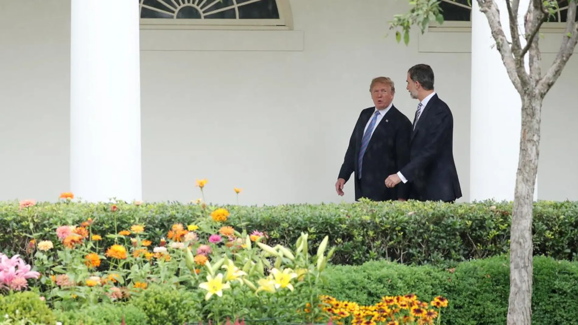 El rey Felipe VI camina junto a Donald Trump mientras ambos dialogan por los jardines de la Casa Blanca