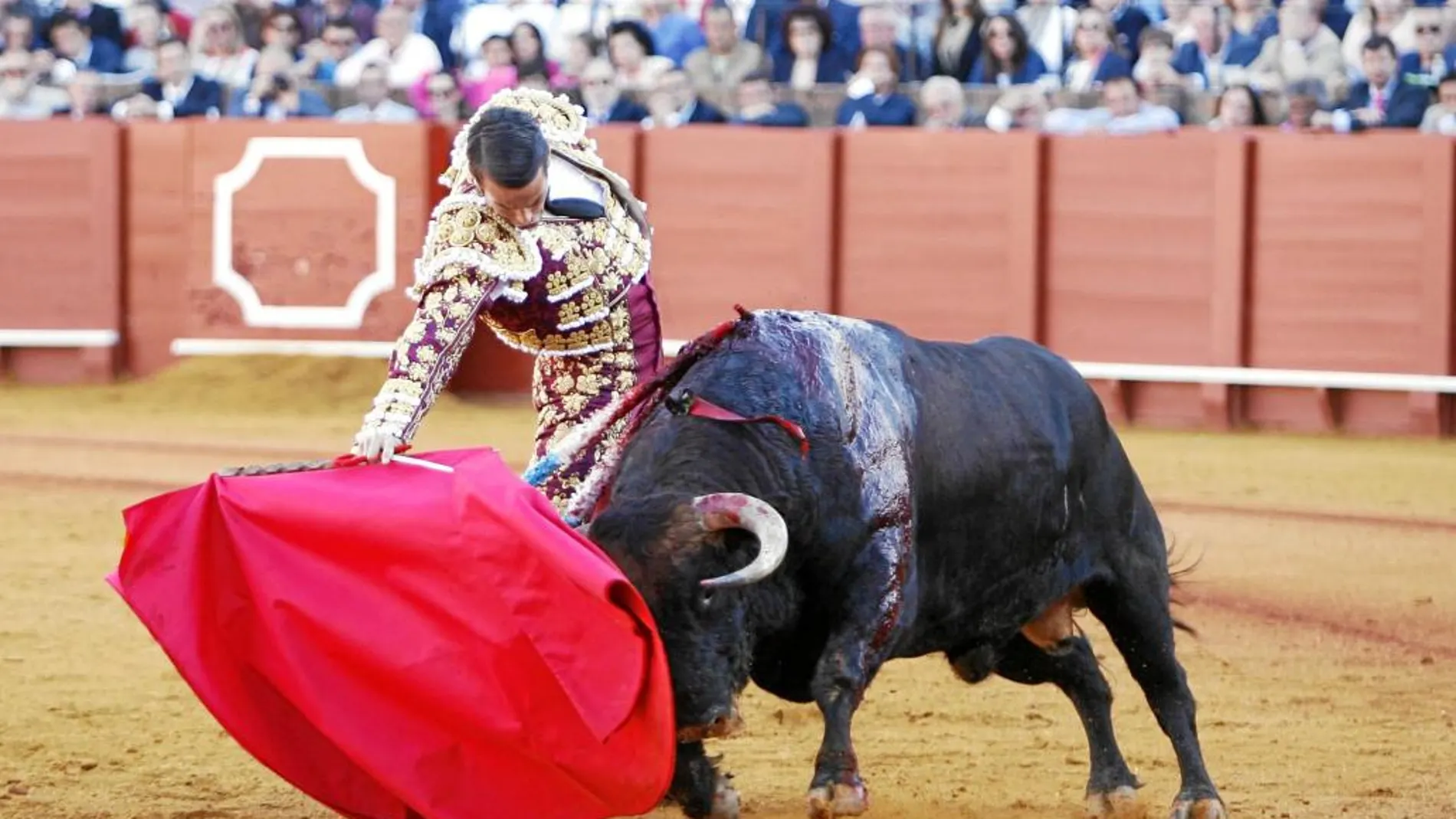 Manzanares en un derechazo al primero de su lote