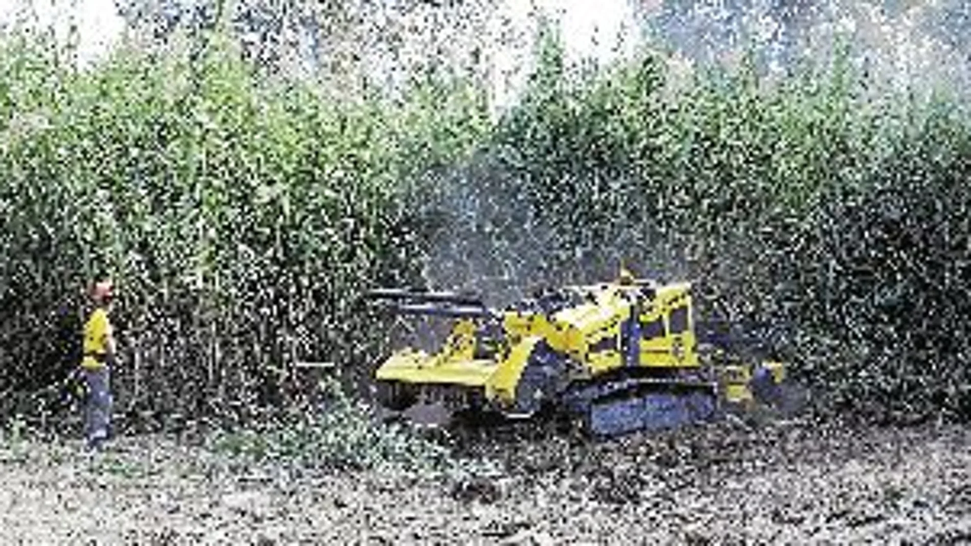 Las brigadas forestales de Imelsa ya están trabajando en la urbanización Masía del Traver en Riba-roja del Túria