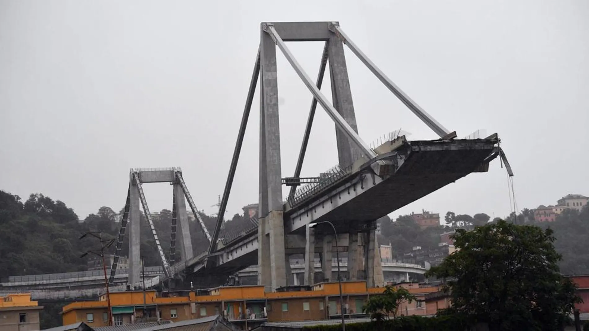 Trabajadores de la Cruz Roja buscan desaparecidos en el Puente Morandi de Génova