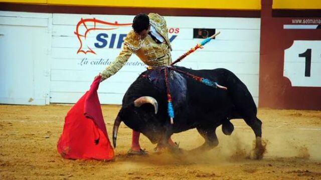 Derechazo del novillero Fernando Beltrán en Algemesí