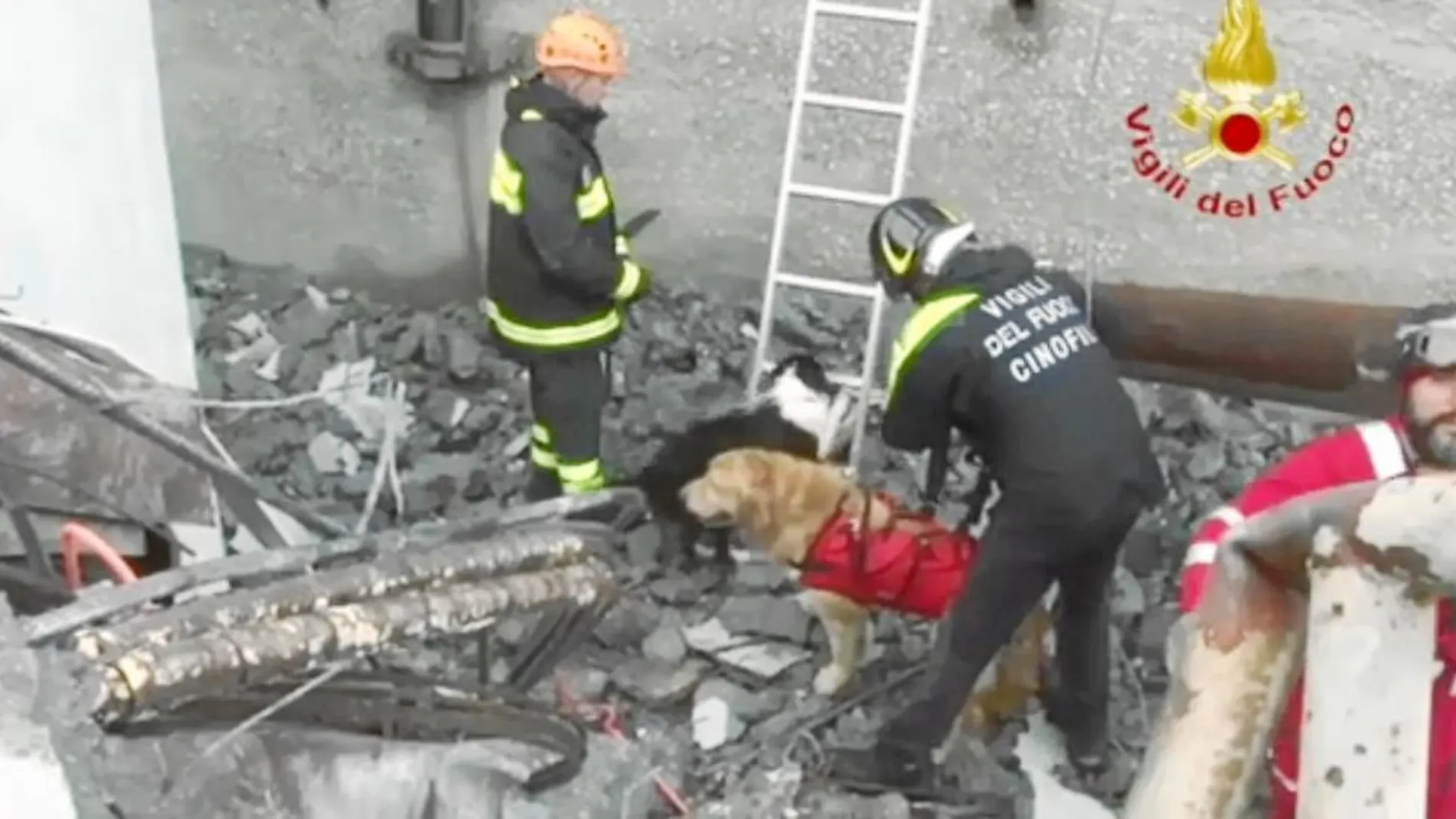 Héroes con cara de perro