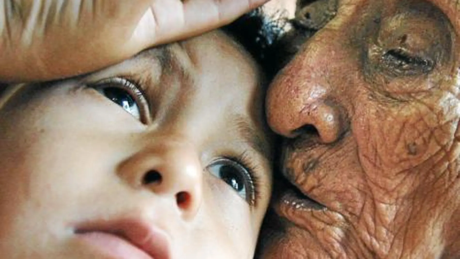 Preguntas con Respuesta: Disfrutan los nietos de la compañía de sus abuelos