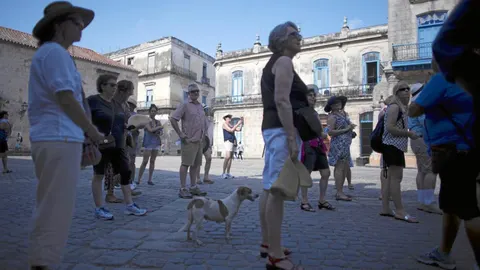 Estadounidenses, en un programa de intercambio, visitan la plaza de la Catedral, en La Habana