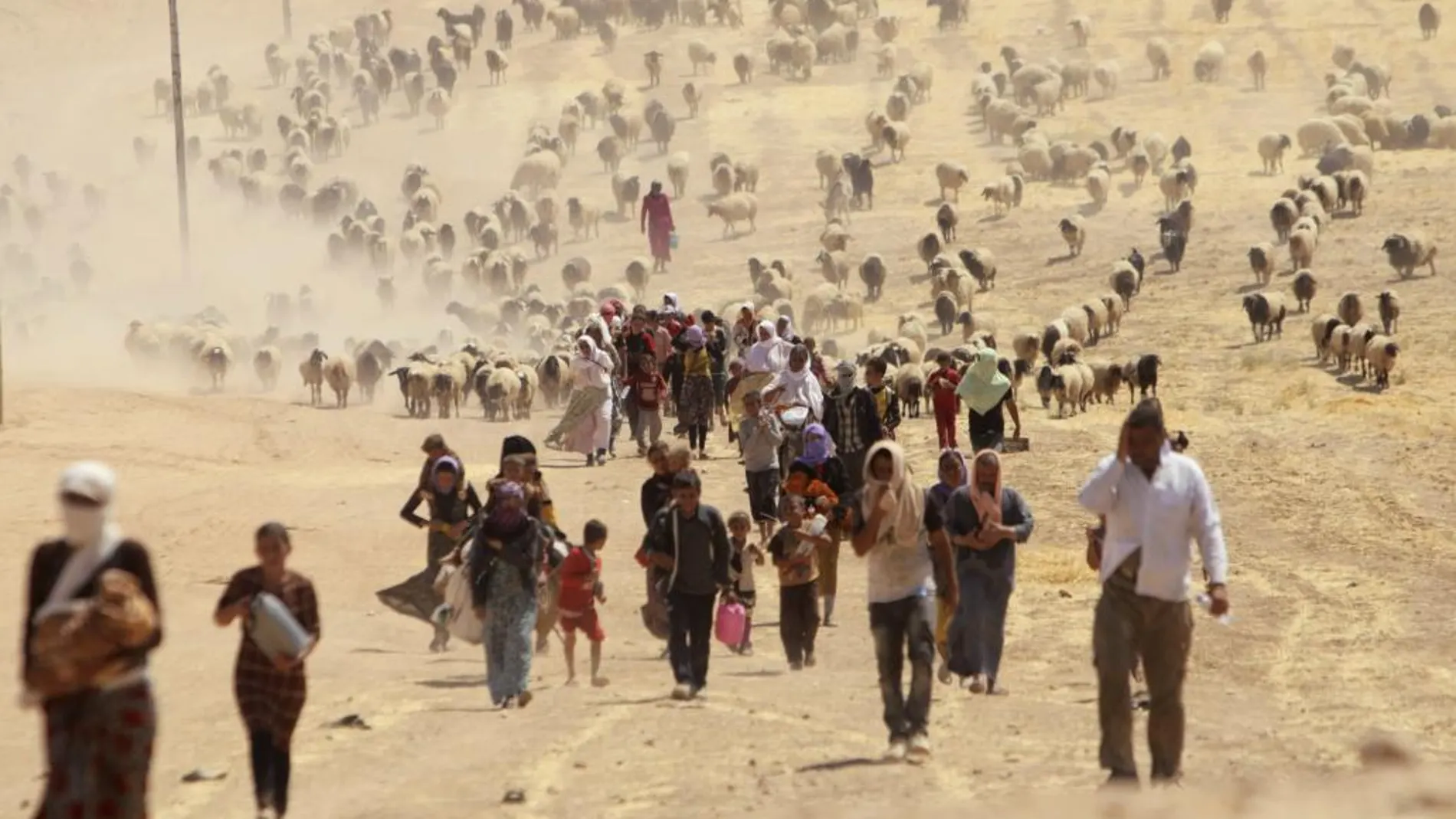 Desplazados yazidíes, obligados a huir por la violencia del EI.
