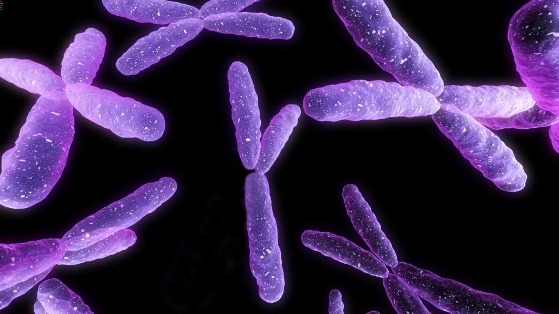 Una superbacteria dispara las alarmas en EE UU