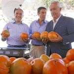 El vicesecretario popular Javier Arenas, ayer, en una visita al mercado de Coín (Málaga)