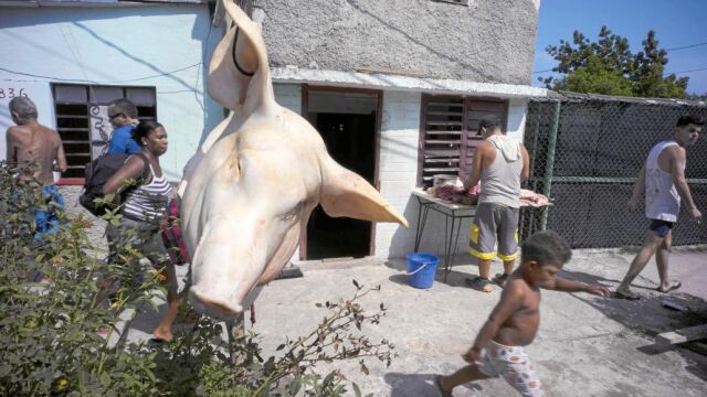 La cabeza de un cerdo señala una carnicería a las afueras de La Habana, en Cuba