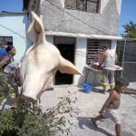 La cabeza de un cerdo señala una carnicería a las afueras de La Habana, en Cuba
