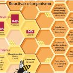 Astenia primaveral: Un desayuno energético con jalea real ayuda a mitigar los síntomas
