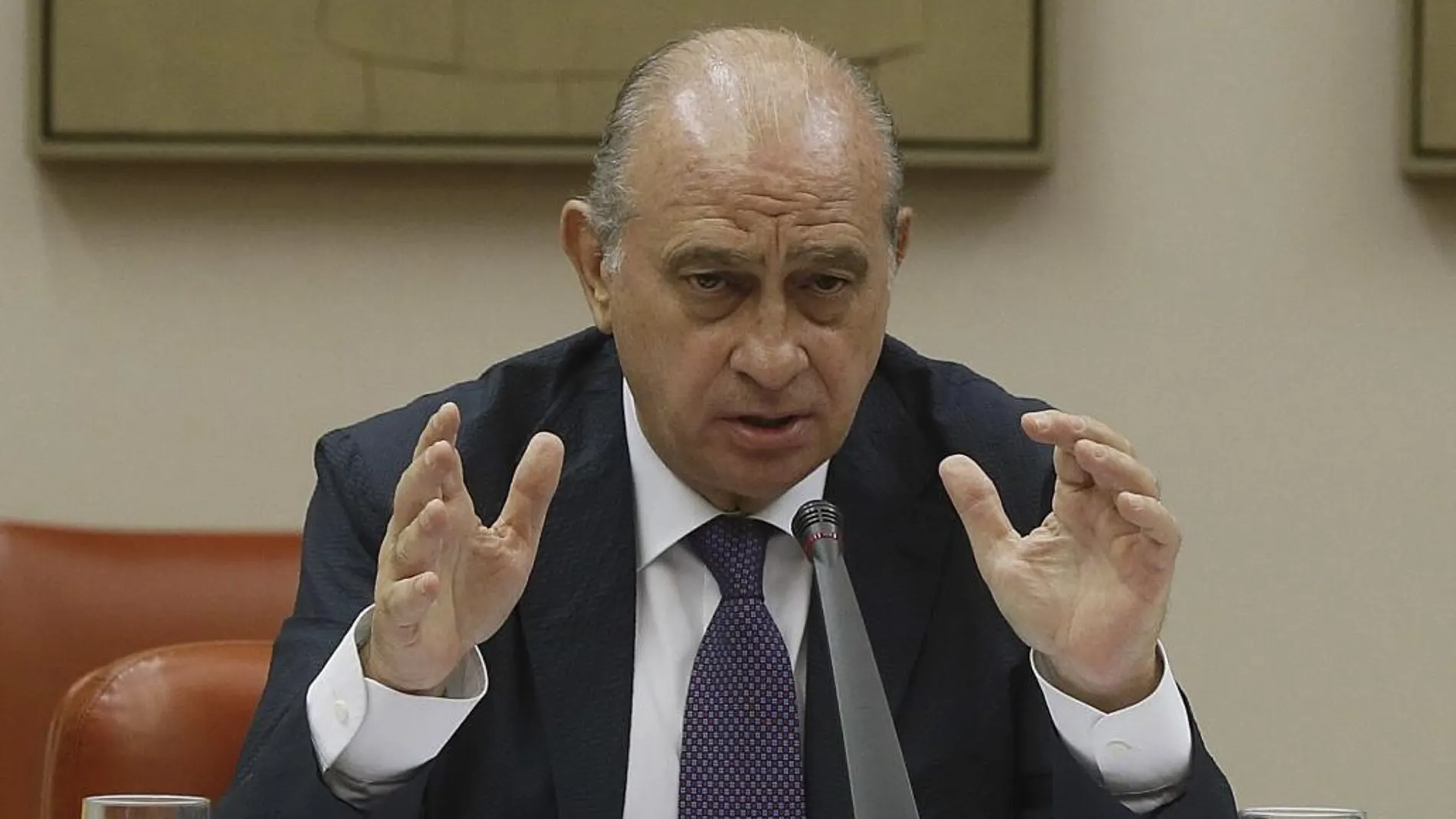 El titular de Interior, Jorge Fernández Díaz, durante su comparecencia hoy en el Congreso