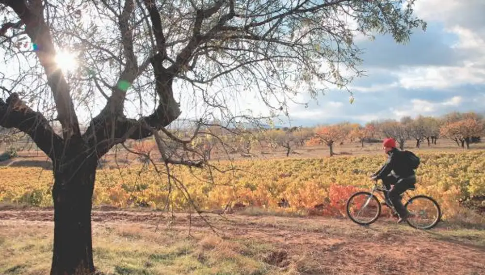 El campo plagado de viñedos invita al viajero a realizar rutas a pie, a caballo o en bicicleta. Los más atrevidos pueden hacerlo, incluso, en globo