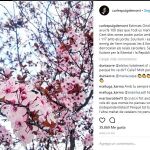 Carles Puigdemont envió diversos mensajes a través de las redes sociales para apoyar a los dirigentes presos, pero no se ha comunicado con la familia de Junqueras mdiputado de JxCAT Josep Rull volvió a eludir a «conseguir el equilibrio democrático», y no mostró ninguna prisa para la investidura