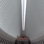 El "Oculus", estructura hecha de blancas vigas de acero que se elevan desde el edificio hacia el cielo creando una forma que se asemeja a las alas de un ave blanca