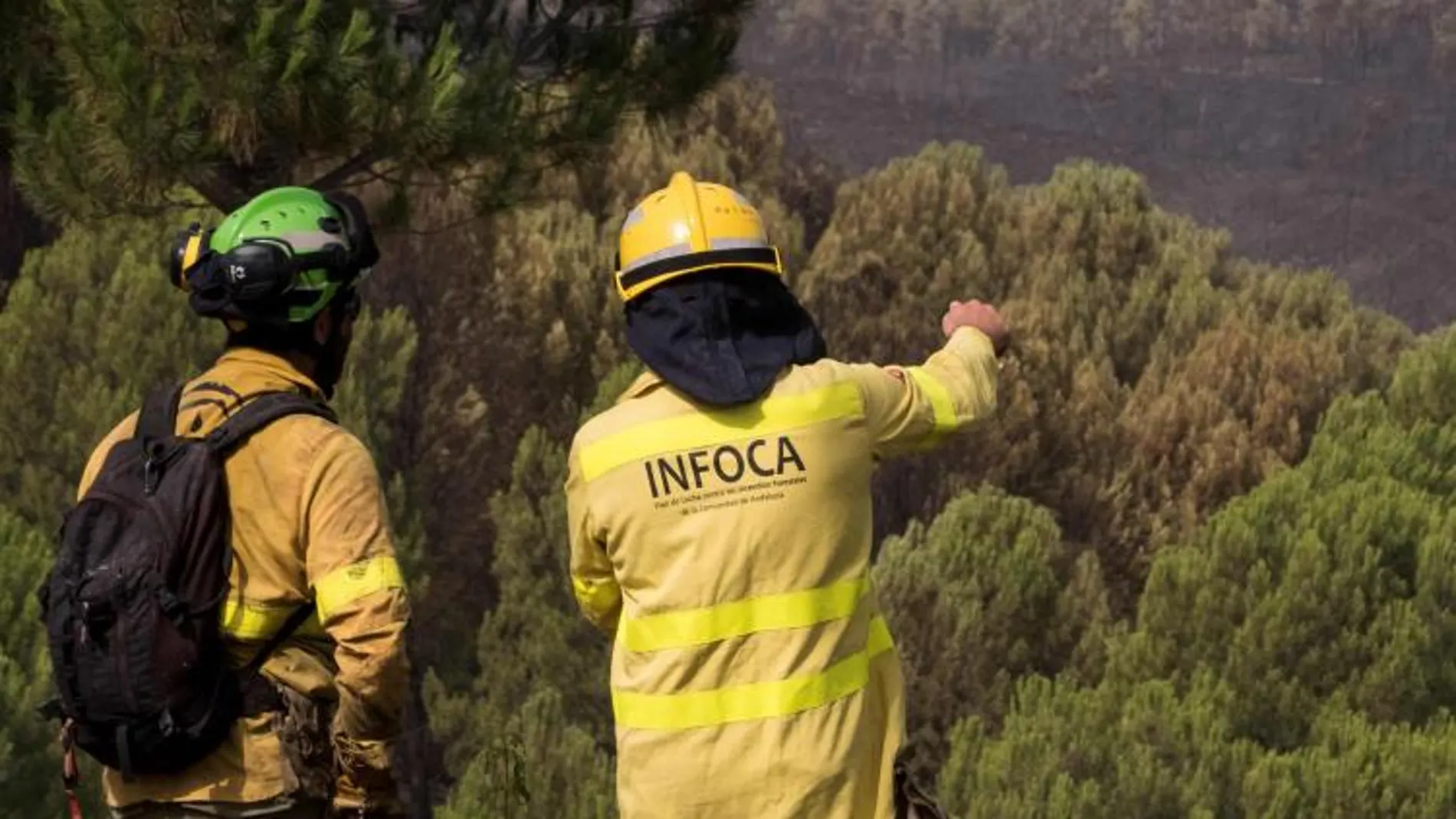 Efectivos del Infoca en el incendio declarado en Almonaster la Real (Huelva) / Foto: Efe
