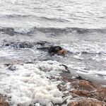 El Mar Menor: bañarse entre plomo y lodo