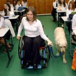 Las mascotas son muy beneficiosas para los niños con discapacidad
