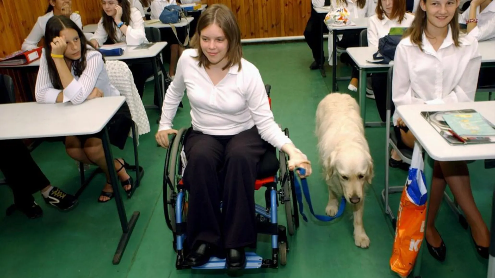 Las mascotas son muy beneficiosas para los niños con discapacidad