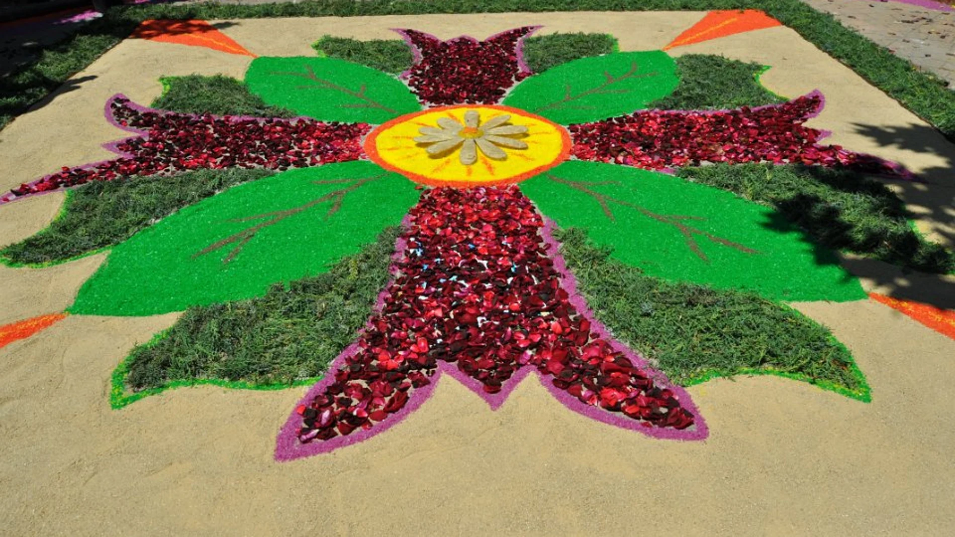 Una de las alfombras florales de Torrelaguna