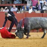 Manuel Escribano con "Cobradiezmos", el indultado cuarto toro